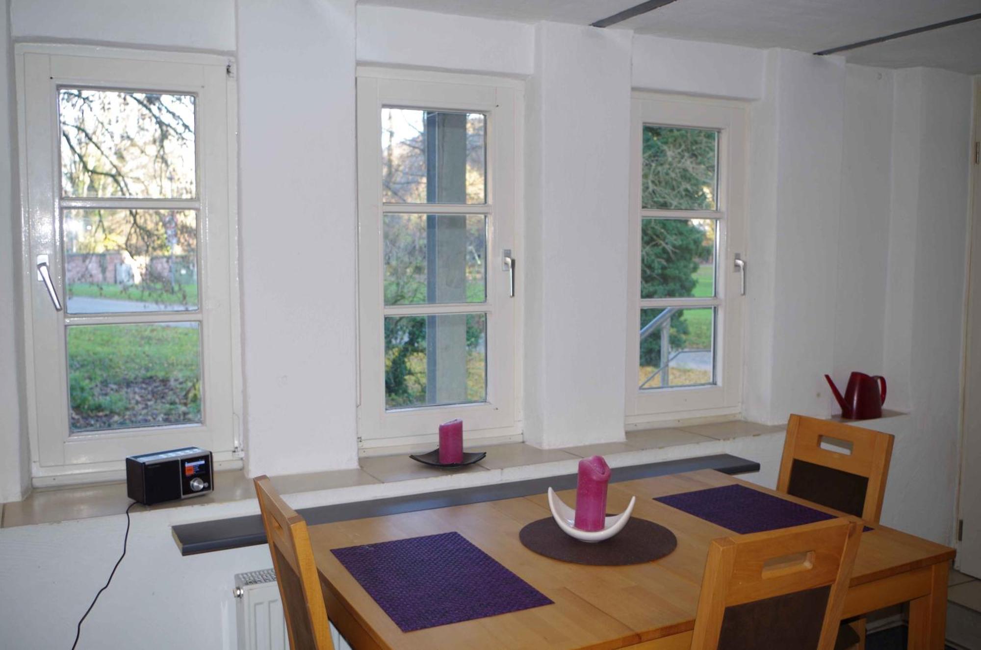 Ferien-Wohnung Am Menzer-Park Неккарґемюнд Екстер'єр фото